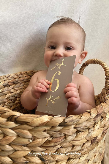 Baby Milestone Kartice