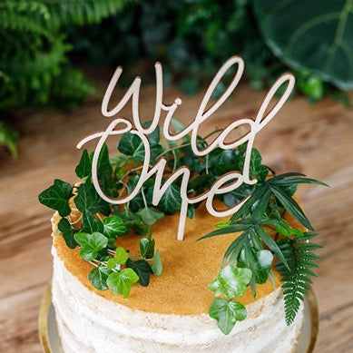 wild one cake topper