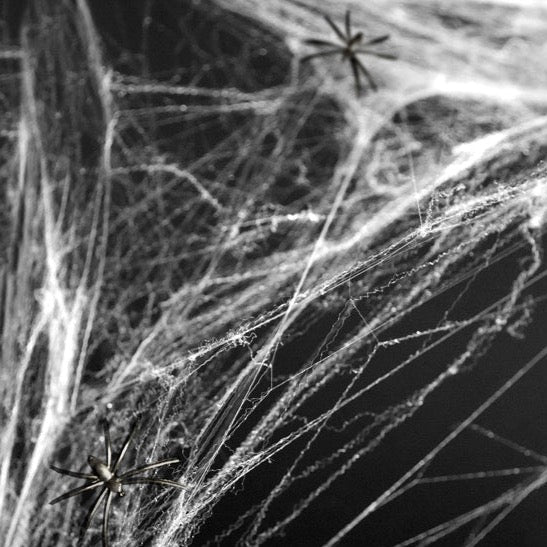 pajkova mreža dekoracija noč čarovnic